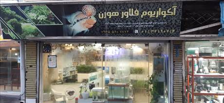 فلاور هورن